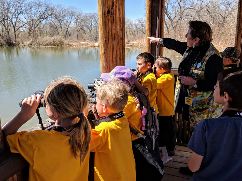 Kids Looking at Bosque - OCE Section Block Tile