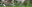 Dragonfly Sanctuary Pond Banner