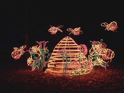 Beehiveweb.JPG A bee and beehive light sculpture at the ABQ BioPark Botanic Garden during River of Lights.