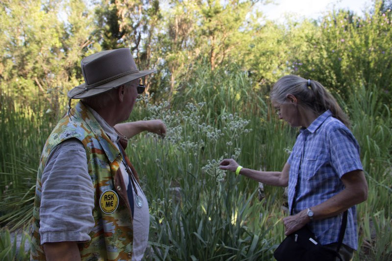 A BioPark volunteer speaks during a tour of the Bosque as a woman examines a plant.