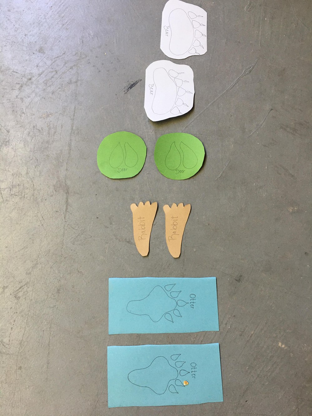 An animal tracks paper craft activity.