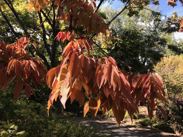 Fall and Winter Busy for Gardeners Fall and Winter Busy for Gardeners