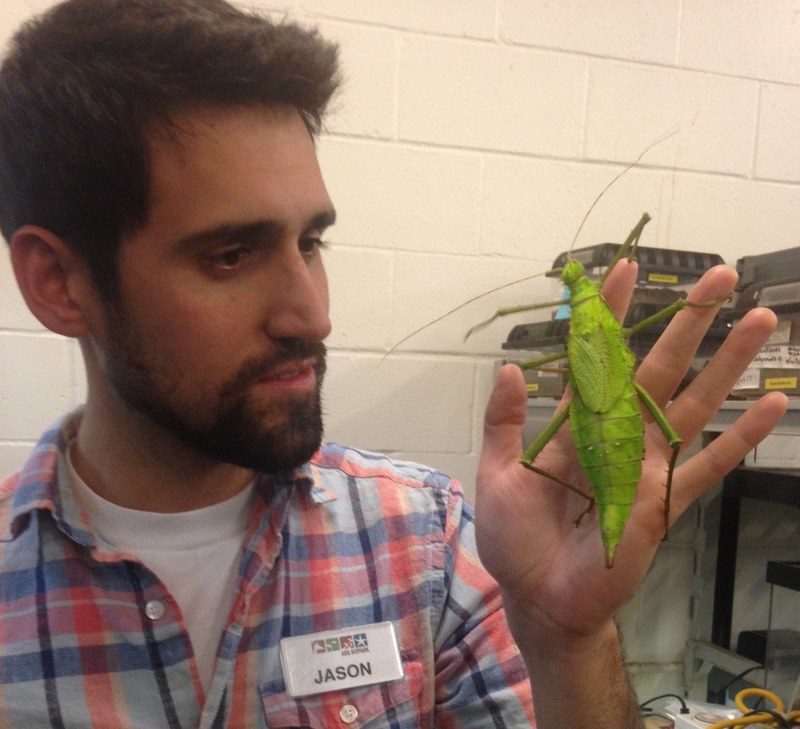 For the Love of the Bugs For the Love of the Bugs
