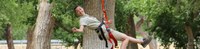 Zip-Line_banner Zip-Line_banner