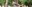 Zip-Line_banner