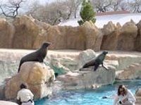 SpringWildlifeSafari114small.jpg SpringWildlifeSafari114small.jpg