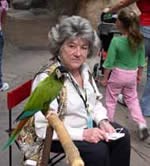 Yellowcollaredmacaw.jpg Yellowcollaredmacaw.jpg