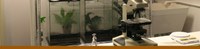 Conservation_Lab_Banner Conservation_Lab_Banner