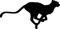 Cheetah Cheetah