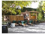 zo_wheelchairs.jpg zo_wheelchairs.jpg
