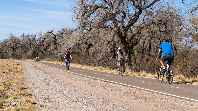 Runners and bikers use a paved path that runs through the bosque.
