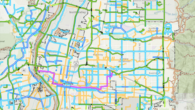 A section of the interactive bike map showing routes throughout the city.