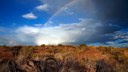 Rainbow Over Mesa