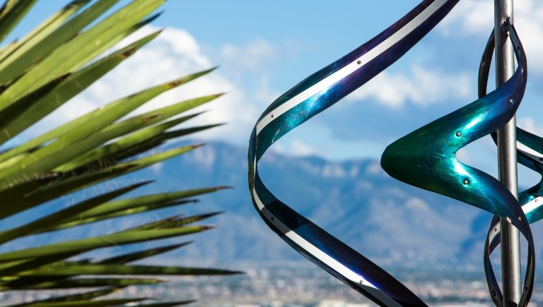 Yucca and Metal Art