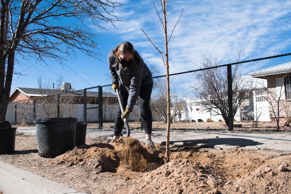 A woman using a shovel to fill a whole she just planted a tree in.
