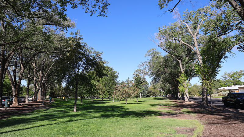 A park with green grass and trees.