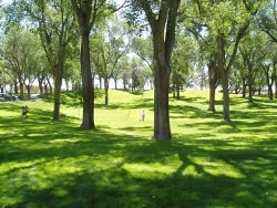 Albuquerque's City parks are open to everyone.