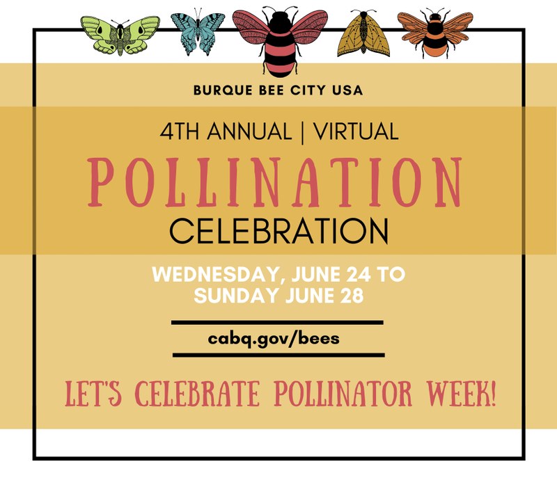 City of Albuquerque, Partners Present Virtual Burque City Pollination Celebration City of Albuquerque, Partners Present Virtual Burque City Pollination Celebration