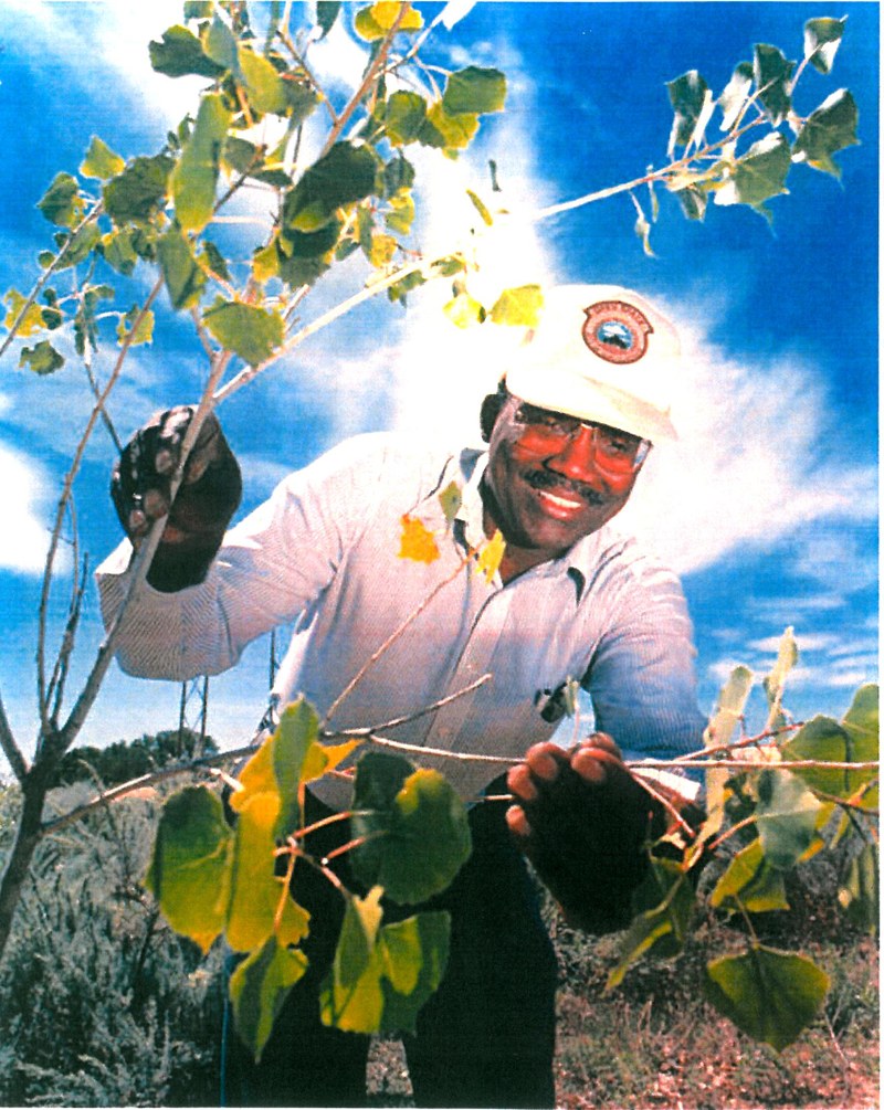 The Open Space News, July-September 2015 The Open Space News, July-September 2015