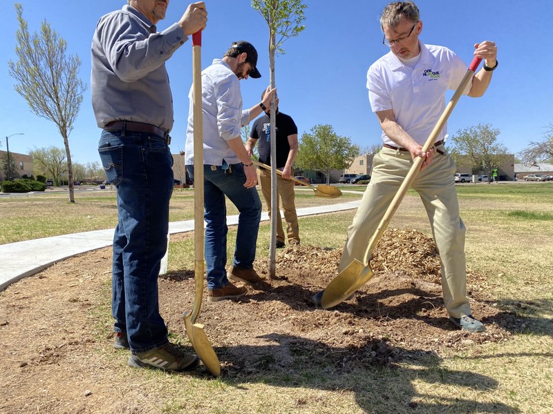 Tree Planting Efforts In Full Bloom Tree Planting Efforts In Full Bloom