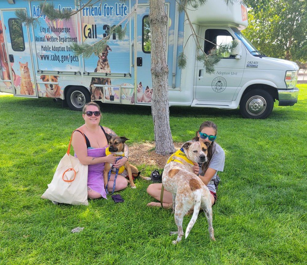 Lucky Paws Van Lucky Paws Van with 2 people sitting with dogs