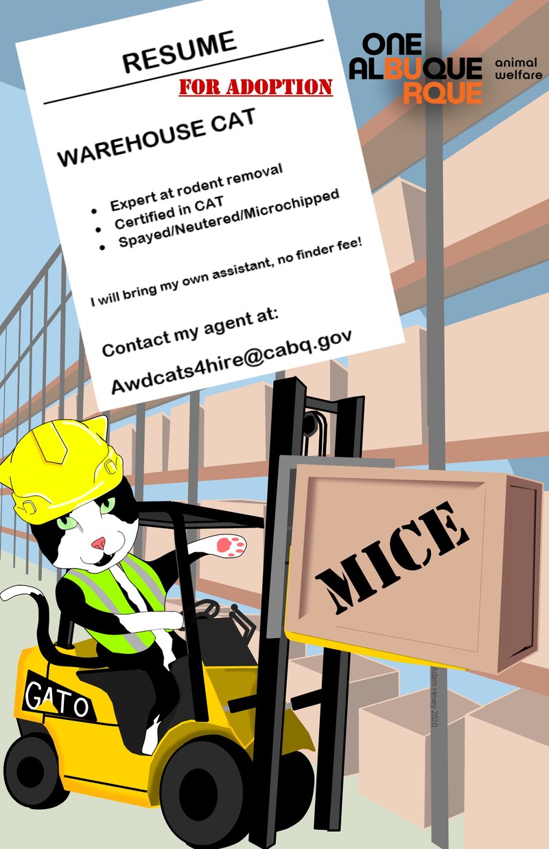 Adopt a Working Cat at Animal Welfare Department Adopt a Working Cat at Animal Welfare Department